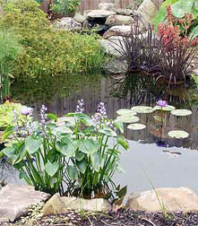 Cottage Garden Ponds :: Cottage Style Gardens :: Cottage Gardens ...